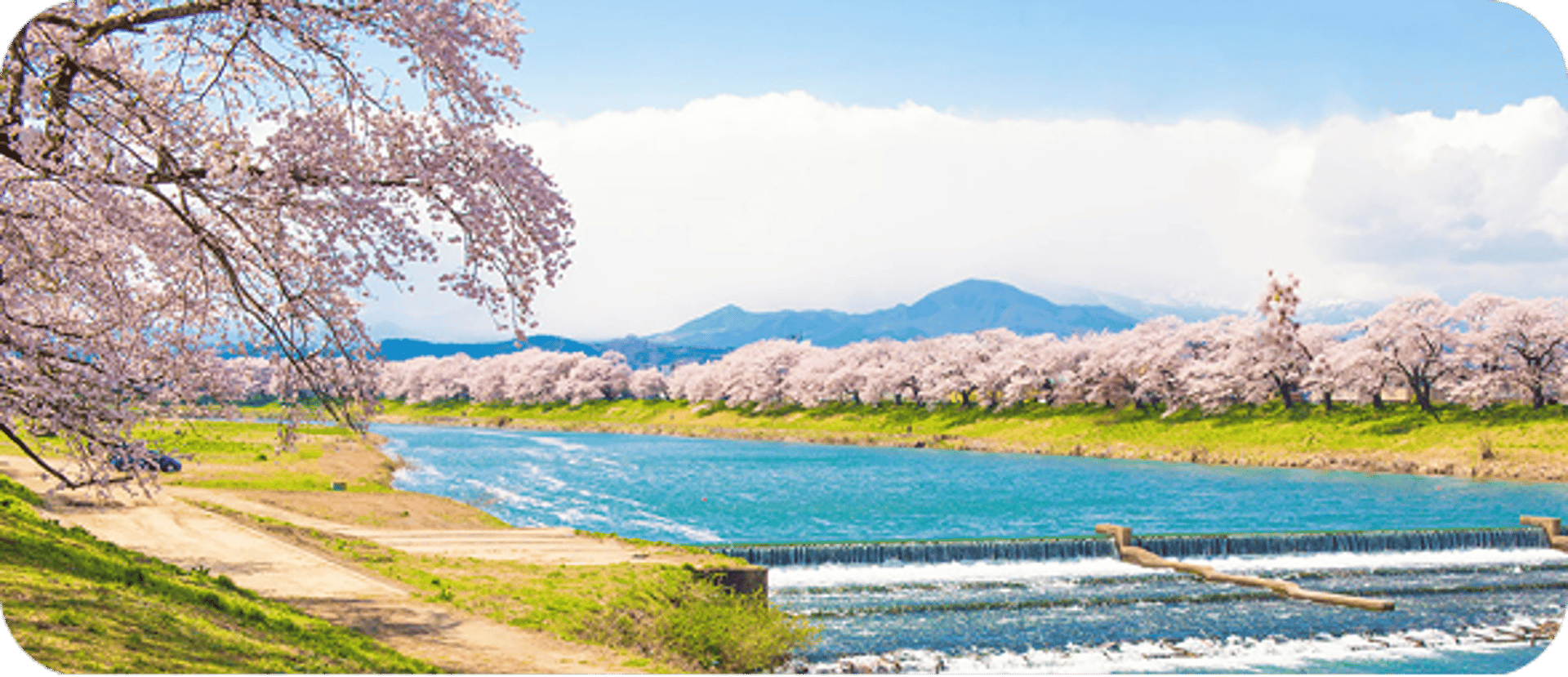 仙台