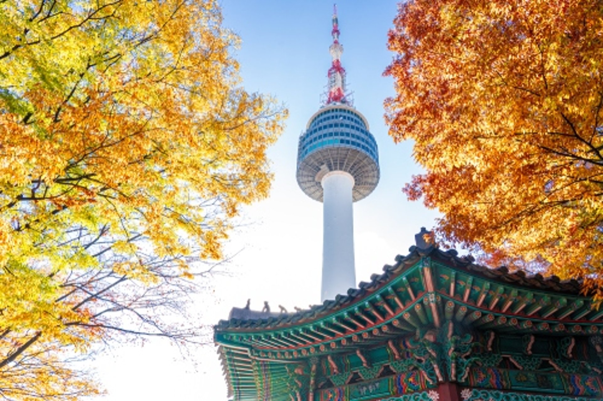 11月旅游推荐3.｜首尔
