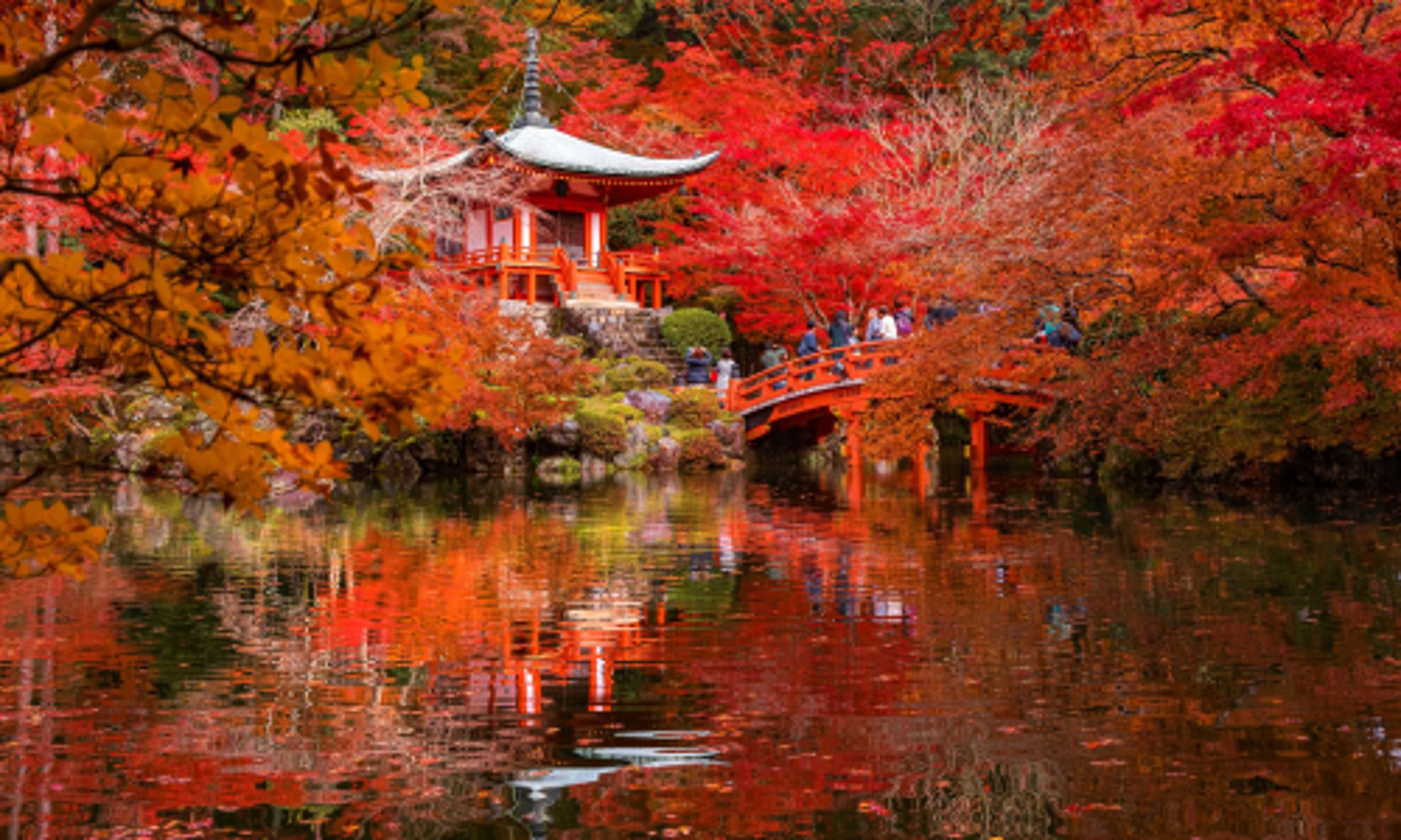 【11月自由行攻略】秋末冬初出游首选！ 11月假期好去处｜5大人气目的地（内附11月人气赏枫景点推荐）
