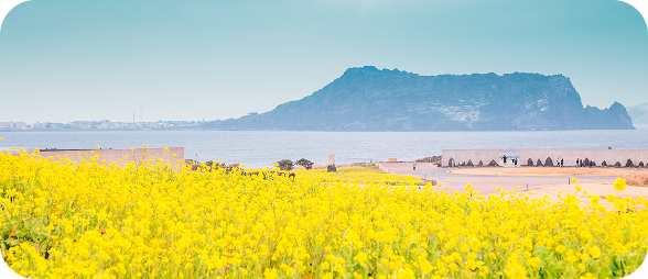 jeju
