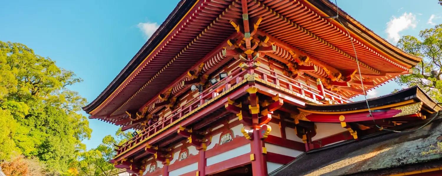Where to Go in Lunar New Year? 5 Best Places to Visit in February