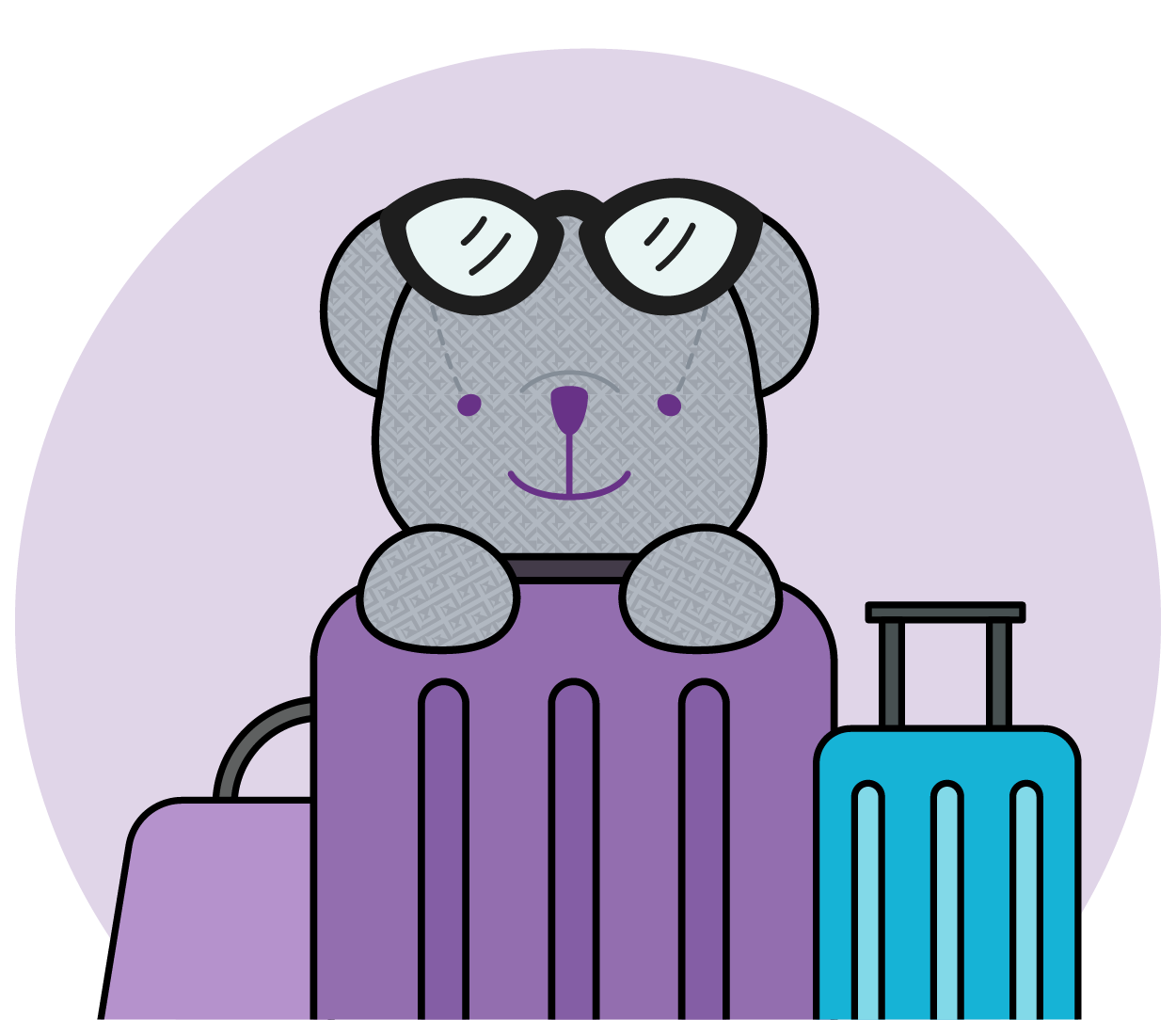 Pre-book Extra Baggage Allowances